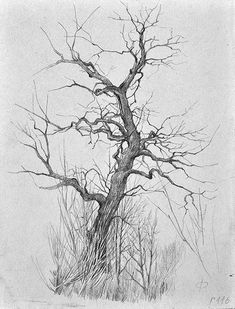 a pencil drawing of a bare tree in the snow by artist mark mcinney