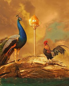 two peacocks standing on top of a rock next to a lamp post and water