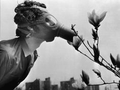 black and white photograph of a woman looking through a pair of binoculars at flowers in the foreground