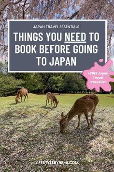 deer grazing on grass with text overlay that reads things you need to book before going to japan