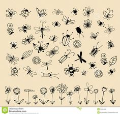 hand drawn flowers and bugs in black ink on beige paper, with the word's name