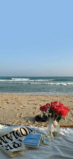 red roses in a vase sitting on top of a blanket next to the ocean and beach