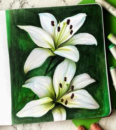 a painting of three white lilies on a green plate with crayons next to it