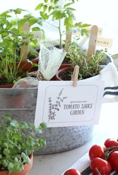 Create this Grow a Tomato Sauce Garden gift basket filled with herbstomato plants and moreThe perfect gift for a gardener or foodie Mother’s Day Gifts For Garden, Herb Basket Gift Ideas, Gardening Party Ideas, Plant Gifts Ideas, Mothers Day Plant Gifts, Mothers Day Flowers Ideas, Plant Sale Ideas, Herb Gift Basket, Herb Garden Gift Basket