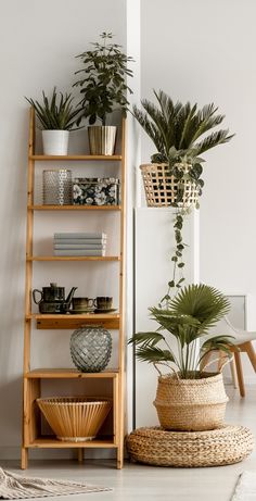 a wooden shelf filled with potted plants next to a white chair and wall mounted bookshelf