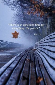 there is an appointed time for everything, be patient - ece 2 1 bible verse