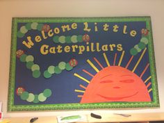 a welcome little caterpillars bulletin board hanging on the wall above a desk