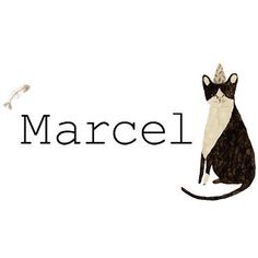 a black and white cat with a crown on it's head sitting next to the word marcel