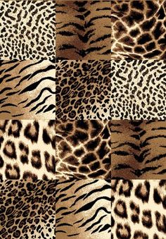 an animal print pattern with different colors