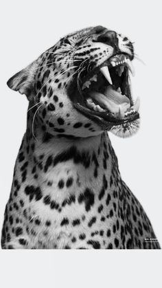 a black and white photo of a cheetah with it's mouth open