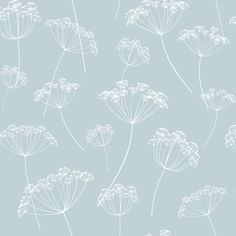 white dandelions on a light blue background wallpaper design by person, via ete