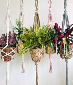 several hanging baskets with plants in them