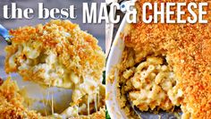 the best macaroni and cheese casserole recipe