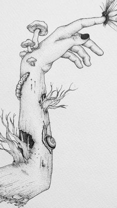 a pencil drawing of a hand reaching for a dandelion on top of a tree