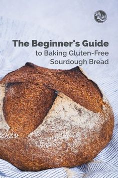 the beginner's guide to baking gluten - free sourdough bread