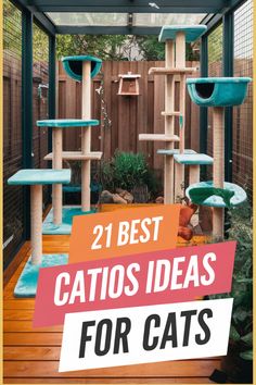 the best cat houses for cats with text overlay that reads 21 best cat ideas for cats