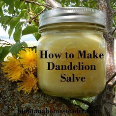 How to Make Dandelion Salve. Works great for dry skin, aches and pains! Montana Homesteader #DIY Dandelion Salve, Magia Das Ervas, Natural Healing Remedies, Diy Remedies, Natural Foods, Natural Therapy, Homemade Remedies, Natural Diy, Natural Home Remedies