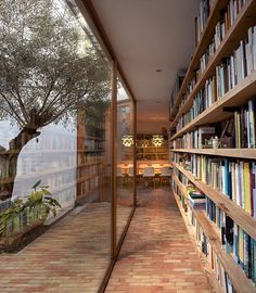 an empty library with bookshelves full of books and plants on the shelves next to each other