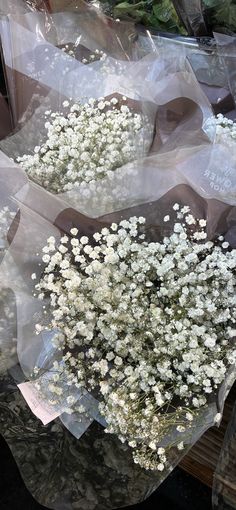 some white flowers are sitting in plastic bags