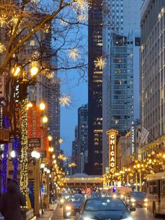 cars driving down a city street with tall buildings and christmas lights on the trees in the foreground