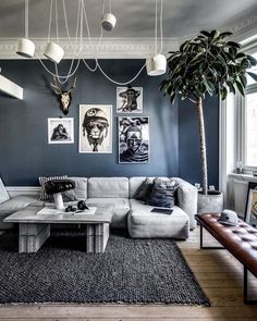 a living room with blue walls and pictures on the wall, couches, coffee table