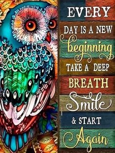 a colorful owl sitting on top of a wooden sign that says every day is a new beginning take a deep breath and start again again