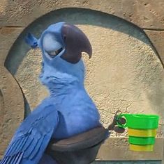 a blue parrot sitting on top of a chair