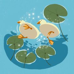 two ducks are floating in the water among lily pads and green leafy plant life