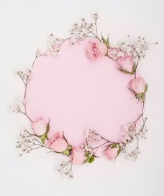 pink roses and baby's breath arranged in a circle on a light pink background