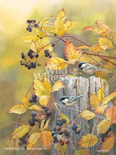 two birds sitting on top of a wooden fence surrounded by leaves and berries in the fall