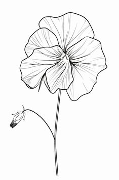 25 Flower Line Drawing Ideas and Tutorials for All Skill Levels - Brighter Craft Floral Sketch