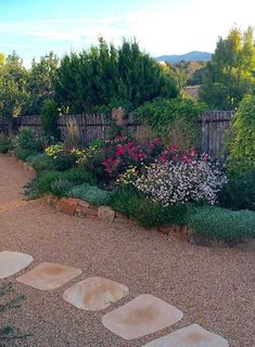 an outdoor garden with stepping stones and flowers