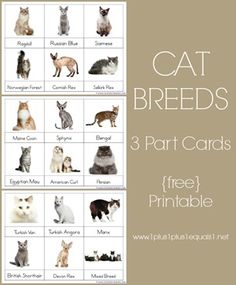 cat breeds printable cards for the 3 part card game