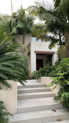 the stairs lead up to an entrance with palm trees and plants on either side in front of it