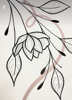 a drawing of leaves on a white wall with the word love written in black ink