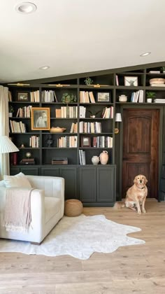 a dog sitting on the floor in front of a bookshelf filled with books