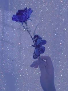 a person holding a blue flower in front of a sky filled with stars and sparkles