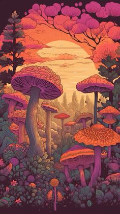 an image of mushrooms in the woods at sunset