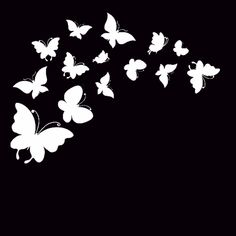 white butterflies flying in the air on a black background