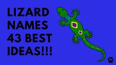 a green lizard with the words lizard names 43 best ideas on it's back