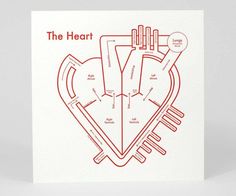 a card with a diagram of the heart on it