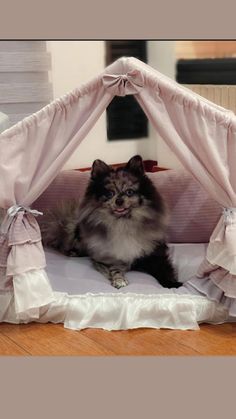 a small dog is sitting in a pink bed with ruffles on it's sides