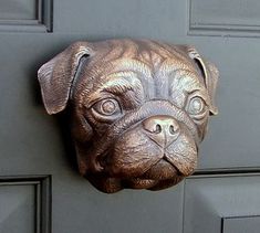 a close up of a dog's head on a door