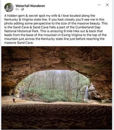 an image of the inside of a cave with trees and rocks on it, as well as text