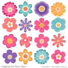 an assortment of colorful flowers on a white background