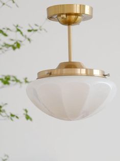 a close up of a light fixture with a plant in the background and a white wall behind it