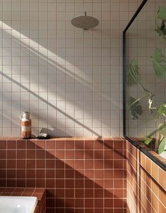 a bathroom with tiled walls and flooring next to a bathtub filled with plants