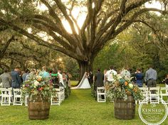 a wedding ceremony under an old oak tree