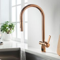 a kitchen faucet with water running from it's spout, next to a potted plant