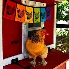 a chicken standing on top of a red platform next to a building with colorful flags hanging from it's roof